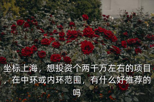 坐標上海，想投資個兩千萬左右的項目，在中環(huán)或內(nèi)環(huán)范圍，有什么好推薦的嗎