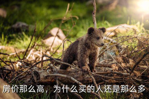 房?jī)r(jià)那么高，為什么買(mǎi)的人還是那么多