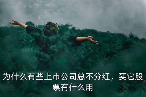 谷歌為什么有兩個(gè)股票,買(mǎi)它股票有什么用