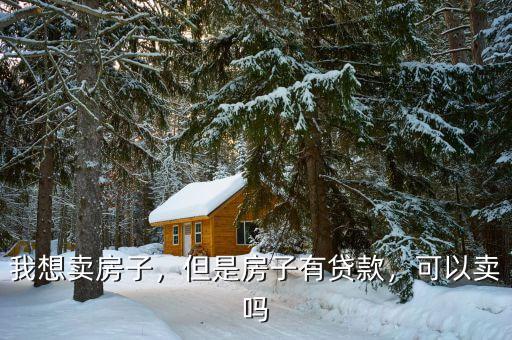 我想賣房子，但是房子有貸款，可以賣嗎