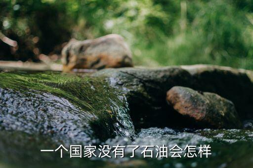 一個(gè)國家沒有了石油會(huì)怎樣