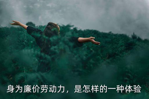 身為廉價勞動力，是怎樣的一種體驗(yàn)