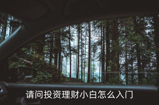 初學(xué)者怎么理財(cái),請問投資理財(cái)小白怎么入門