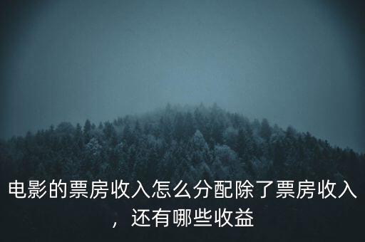 電影的票房收入怎么分配除了票房收入，還有哪些收益