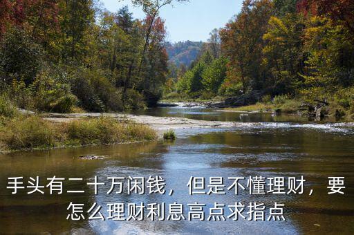 手頭有二十萬閑錢，但是不懂理財，要怎么理財利息高點求指點