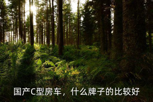 國(guó)產(chǎn)C型房車(chē)，什么牌子的比較好