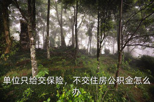 單位只給交保險(xiǎn)，不交住房公積金怎么辦