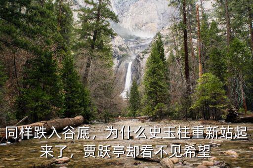 同樣跌入谷底，為什么史玉柱重新站起來(lái)了，賈躍亭卻看不見(jiàn)希望