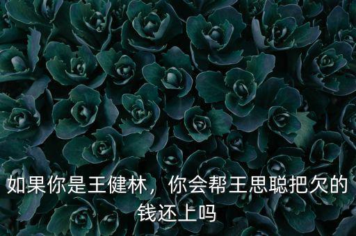如果你是王健林，你會(huì)幫王思聰把欠的錢(qián)還上嗎