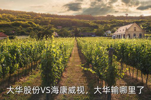 ?？低曉趺闯钟泄煞?寧德時(shí)代和?？低?/></a></span><span id=
