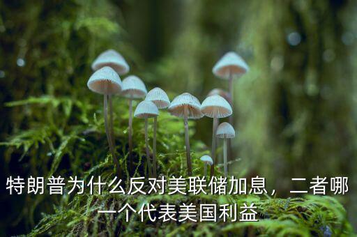 特朗普為什么反對美聯(lián)儲加息，二者哪一個代表美國利益