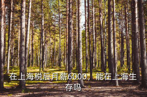 在上海稅后月薪6000，能在上海生存嗎