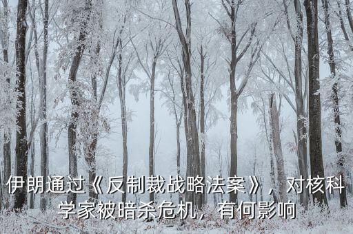 伊朗通過《反制裁戰(zhàn)略法案》，對(duì)核科學(xué)家被暗殺危機(jī)，有何影響