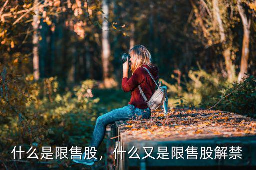 什么是限售股，什么又是限售股解禁