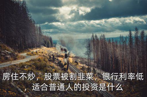 房住不炒，股票被割韭菜，銀行利率低，適合普通人的投資是什么