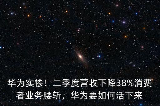 華為實(shí)慘！二季度營收下降38%消費(fèi)者業(yè)務(wù)腰斬，華為要如何活下來