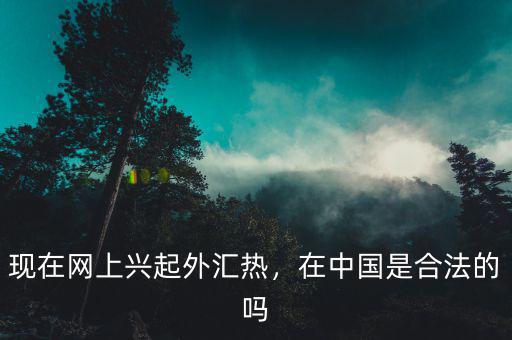 現(xiàn)在網(wǎng)上興起外匯熱，在中國是合法的嗎