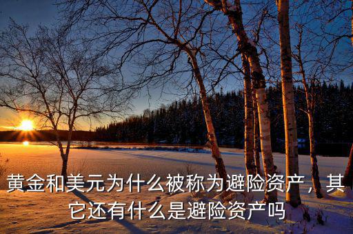 黃金和美元為什么被稱為避險資產(chǎn)，其它還有什么是避險資產(chǎn)嗎