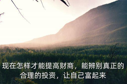 現(xiàn)在怎樣才能提高財(cái)商，能辨別真正的合理的投資，讓自己富起來