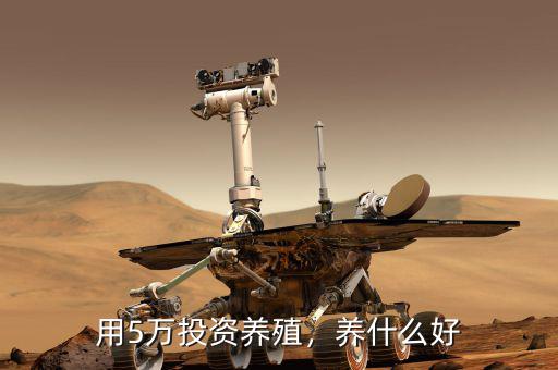 用5萬投資養(yǎng)殖，養(yǎng)什么好