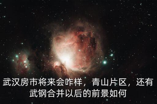武漢房市將來(lái)會(huì)咋樣，青山片區(qū)，還有武鋼合并以后的前景如何