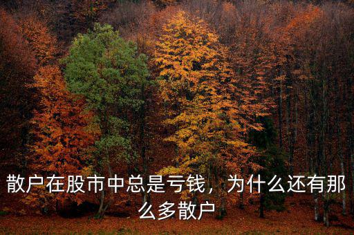散戶在股市中總是虧錢，為什么還有那么多散戶