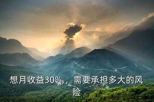 想月收益30%,，需要承擔多大的風險