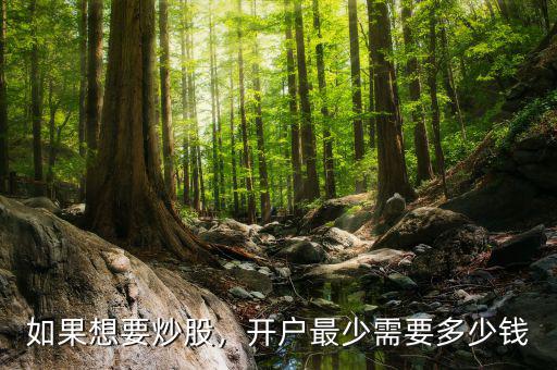 如果想要炒股，開戶最少需要多少錢