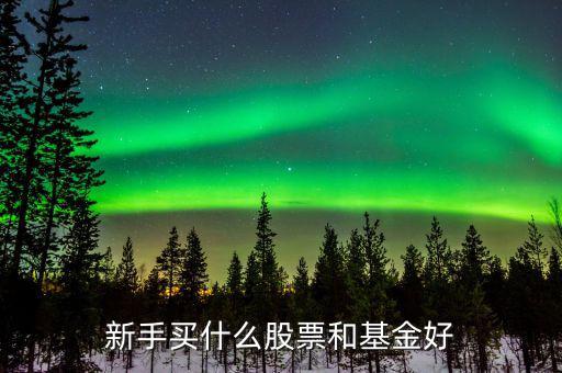 新手買(mǎi)什么股票和基金好