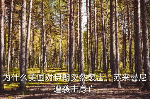 為什么美國對伊朗突然襲擊，蘇來曼尼遭襲擊身亡