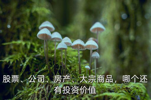 股票、公司、房產(chǎn)、大宗商品，哪個還有投資價值