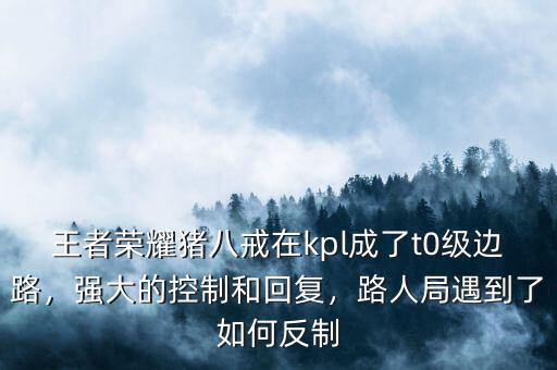 王者榮耀豬八戒在kpl成了t0級邊路，強(qiáng)大的控制和回復(fù)，路人局遇到了如何反制