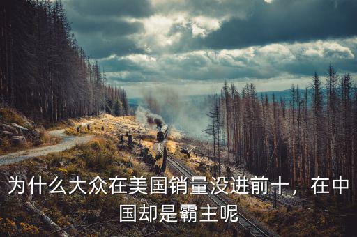 為什么大眾在美國銷量沒進前十，在中國卻是霸主呢
