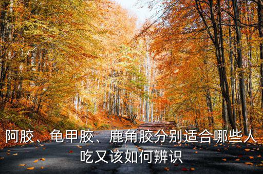 阿膠、龜甲膠、鹿角膠分別適合哪些人吃又該如何辨識