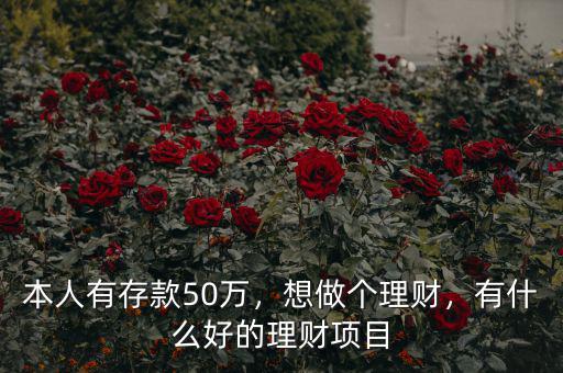 本人有存款50萬，想做個(gè)理財(cái)，有什么好的理財(cái)項(xiàng)目