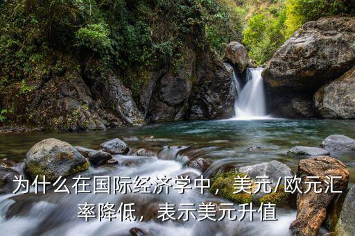 為什么在國(guó)際經(jīng)濟(jì)學(xué)中，美元/歐元匯率降低，表示美元升值