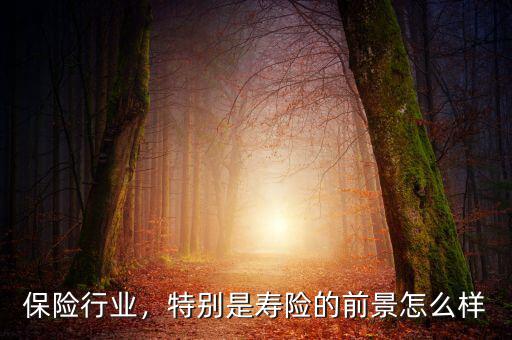 保險行業(yè)，特別是壽險的前景怎么樣