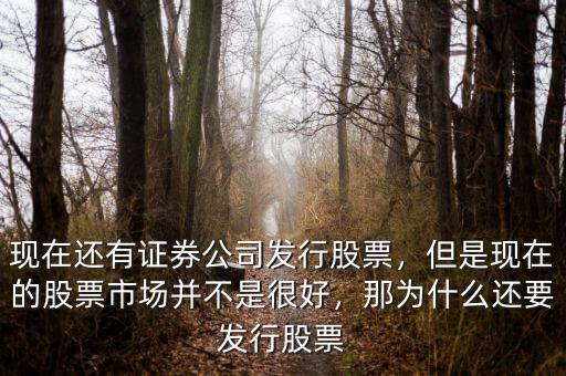 現(xiàn)在還有證券公司發(fā)行股票，但是現(xiàn)在的股票市場并不是很好，那為什么還要發(fā)行股票