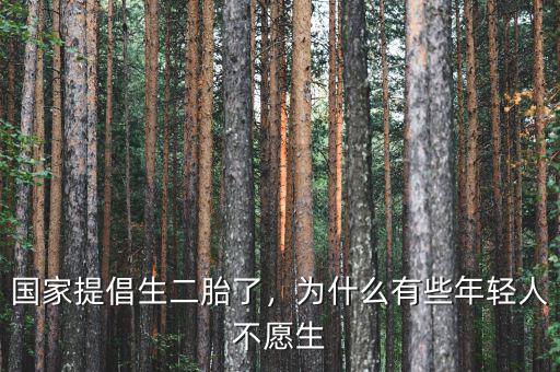 國家提倡生二胎了，為什么有些年輕人不愿生