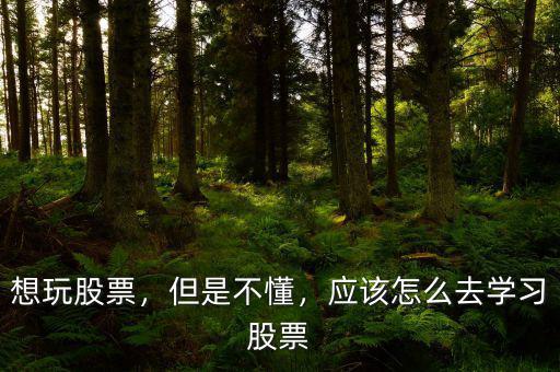 想玩股票，但是不懂，應(yīng)該怎么去學(xué)習(xí)股票