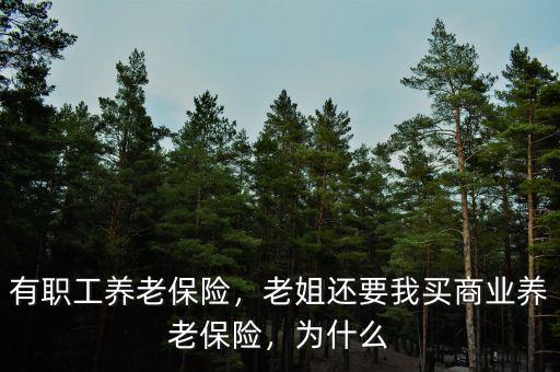 有職工養(yǎng)老保險，老姐還要我買商業(yè)養(yǎng)老保險，為什么