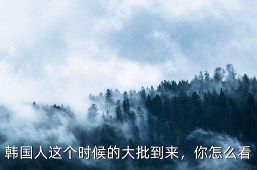 韓國(guó)人這個(gè)時(shí)候的大批到來(lái)，你怎么看
