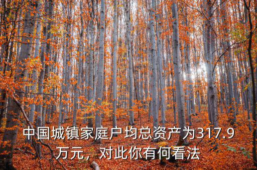 中國(guó)城鎮(zhèn)家庭戶均總資產(chǎn)為317.9萬(wàn)元，對(duì)此你有何看法