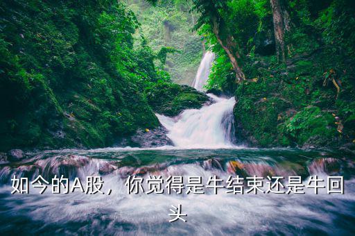 如今的A股，你覺得是牛結束還是?；仡^