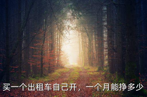 買一個出租車自己開，一個月能掙多少