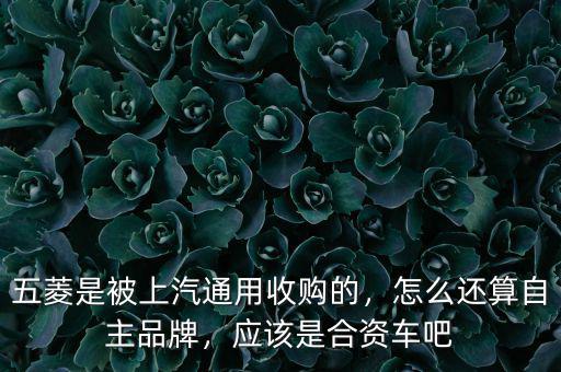 五菱是被上汽通用收購(gòu)的，怎么還算自主品牌，應(yīng)該是合資車吧