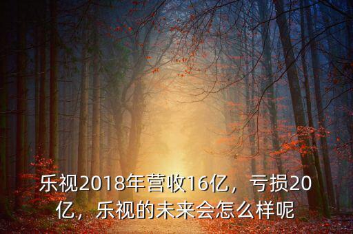 樂視2018年?duì)I收16億，虧損20億，樂視的未來會(huì)怎么樣呢