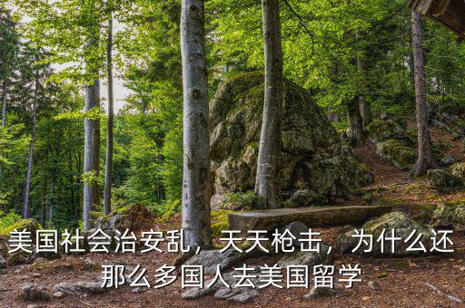 美國(guó)搶劫為什么那么多,為什么要向那么多國(guó)家借錢(qián)
