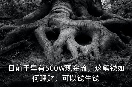 目前手里有500W現(xiàn)金流，這筆錢如何理財(cái)，可以錢生錢