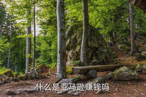 亞馬遜是怎么賺錢(qián)的,亞馬遜的盈利模式是怎樣的